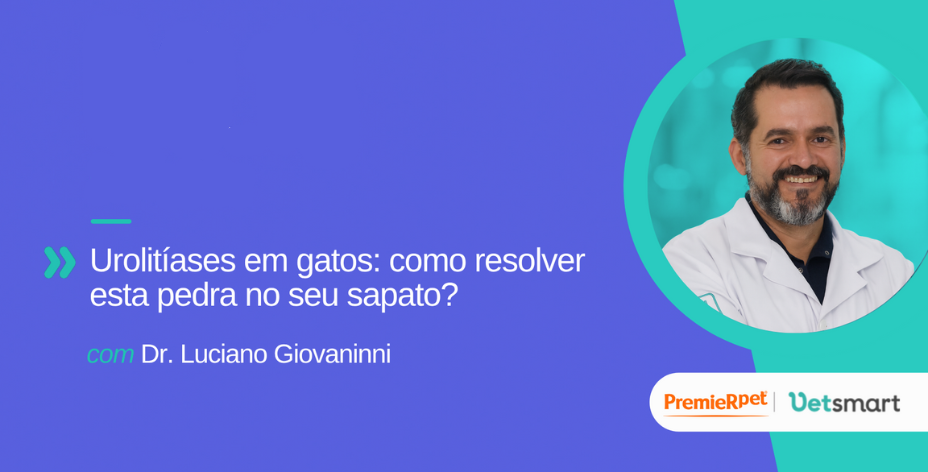 Urolitíases em gatos: como resolver esta pedra no seu sapato?