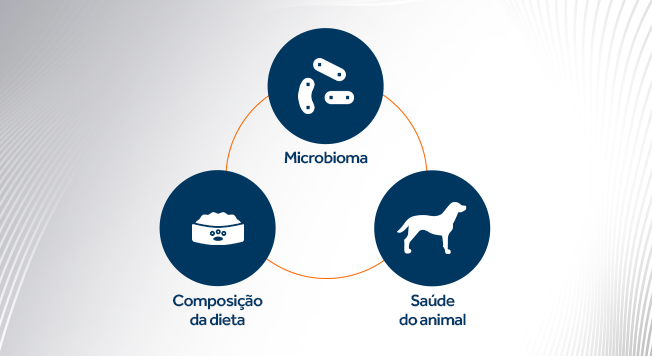 Ciclo relaciona correlaciona dieta, microbioma e saúde do animal.